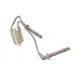 Honda CBF 1000 06-09 Cewka zapłonowa fajki...