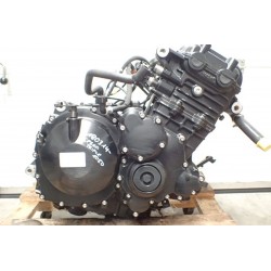 Triumph Speed Triple 1050 (05-10) Silnik...