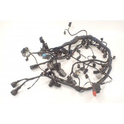 Triumph Tiger 1200 Explorer 12-15...