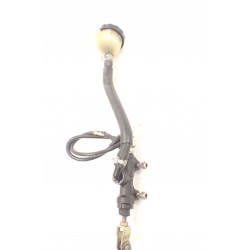 Triumph Tiger 955i Pompa hamulcowa tył