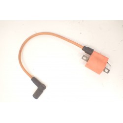 Bashan 200 250 300 Cewka zapłonowa fajka