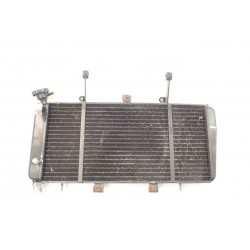 Triumph Sprint 1050 ST 05-10 Chłodnica