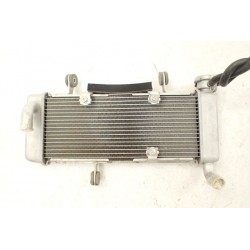 Kawasaki Ninja 125 19- Chłodnica OEM