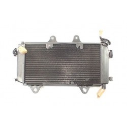 KTM Duke 390 13-17 Chłodnica OEM