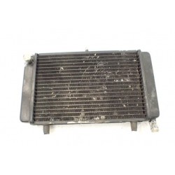 Aprilia RS 125 (06-12) Chłodnica