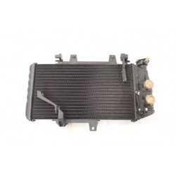 BMW F 650 700 800 GS (14-18) Chłodnica OEM