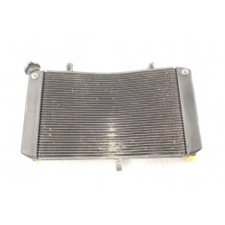 Yamaha FZ1 (06-15) Chłodnica OEM