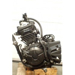 Kawasaki Ninja 300 13-17 Silnik 24705 km...