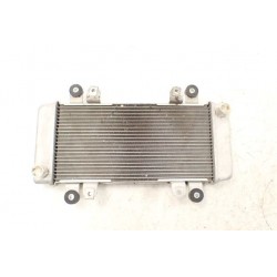 Kawasaki Ninja 300 (13-17) Chłodnica OEM