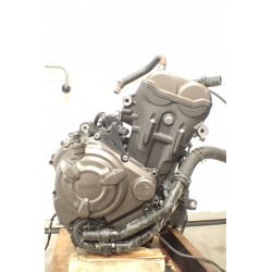 Yamaha Tenere 700 (2019-) Silnik M417E...