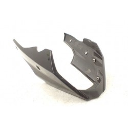 Triumph Street Triple 675 R (13-17) Pług...