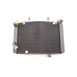 Triumph Street Triple 675 R (13-17)...