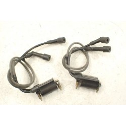 Kawasaki VN 1600 (04-09) Mean Streak Cewka...