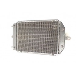 Kawasaki VN 1600 (04-09) Mean Streak...