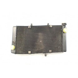 Honda CBR 1100 XX (96-06) Chłodnica OEM