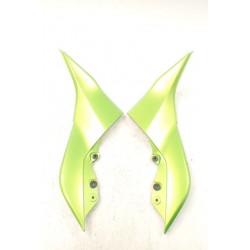 Kawasaki Z750 (07-11) Bok wypełnienie...