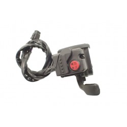 Segway Snarler AT6 570 600 L (2021-)...