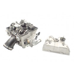 Segway Snarler AT6 570 600 L (2021-)...