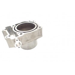 Segway Snarler AT6 570 600 L (2021-)...