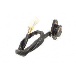 Segway Snarler AT6 570 600 L (2021-)...