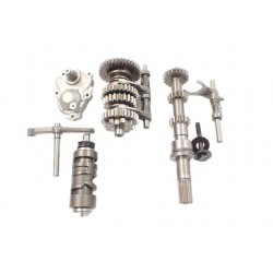 Segway Snarler AT6 570 600 L (2021-)...