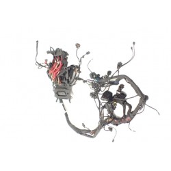 Ducati Monster 937 (2021-) Instalacja wiązka