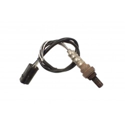 Aprilia RSV 1000 R Factory (04-10) Sonda...