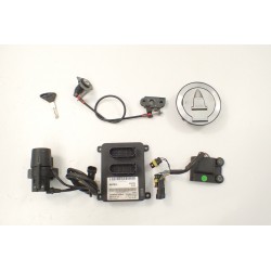 Aprilia RSV 1000 R Factory (04-10)...