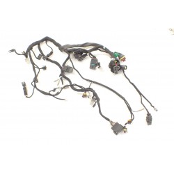 Ducati Monster 696 796 Instalacja wiązka