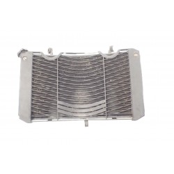 Yamaha FZ1 (06-15) Chłodnica + Kratka OEM