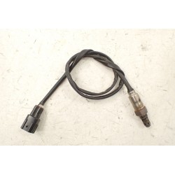 Kawasaki Z900 (2025-) Sonda lambda