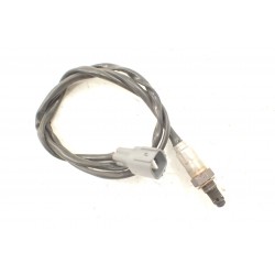 Kawasaki Z900 (2025-) Sonda lambda