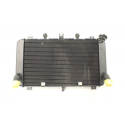 Kawasaki Z900 (2025-) Chłodnica OEM