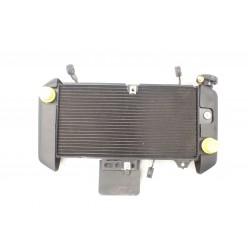 Suzuki SV 650 X (18-) Chłodnica OEM