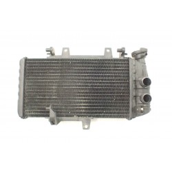 BMW F 800 R (08-15) Chłodnica