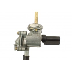 Honda Hornet 600 PC34 (98-02) Kranik...