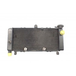 Honda Hornet 600 PC34 (98-02) Chłodnica OEM