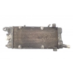 Honda VT 600 PC21 Shadow (88-00) Chłodnica