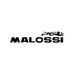 Malossi